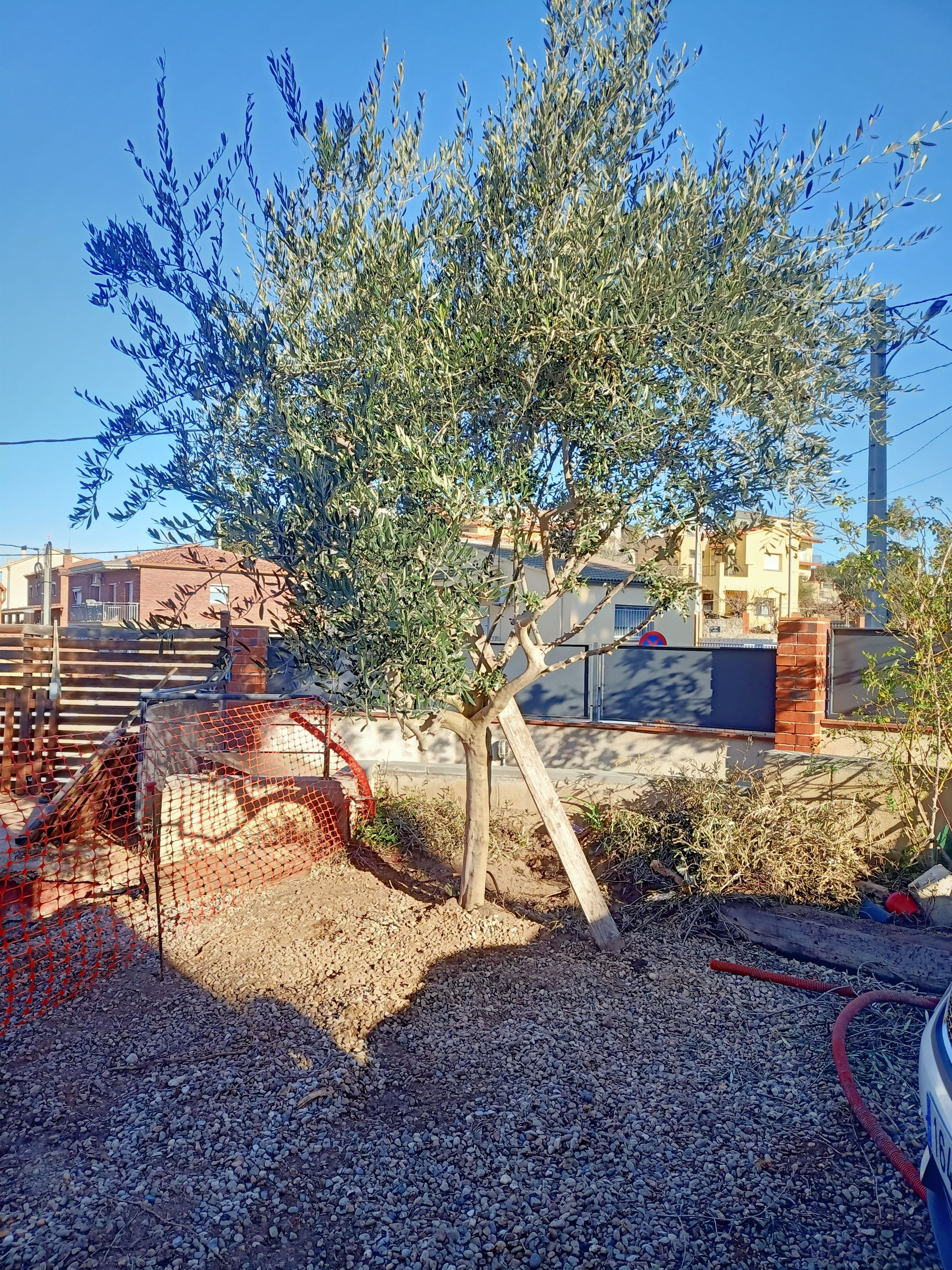 Reforma interior y exterior de una casa con vistas a Montserrat 7
